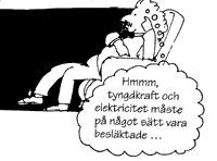 Einstein f&ouml;r envar