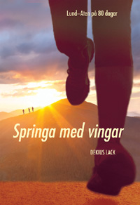 Springa med vingar (del 1)